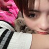 ステファニ