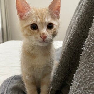 ぱっちりおメメのイケメン君♡ ピー♂