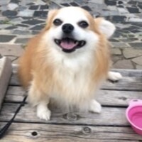 セツナ