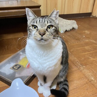 すごく人馴れしてるマリアさん