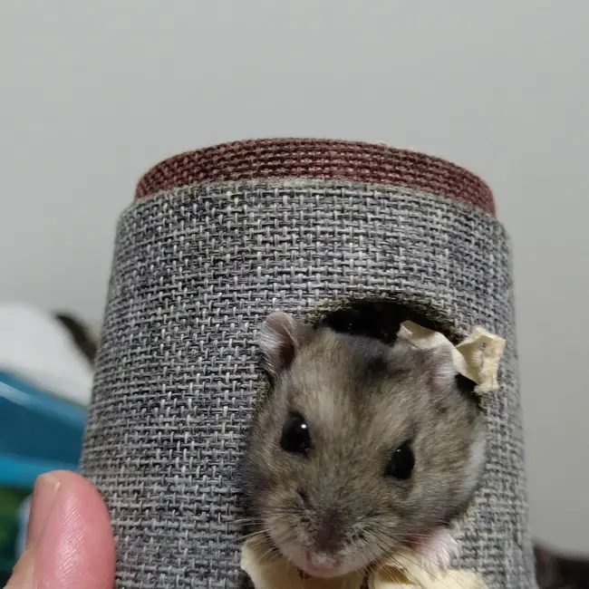 まる まるのカバー写真