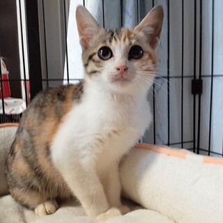 可愛い子はやっぱり可愛い❣️