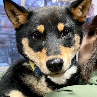 21-M902 シャイな僕ちゃん(^^;