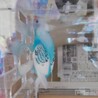【交渉中】セキセイインコ、２羽 サムネイル6