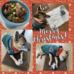 Merry Christmas！