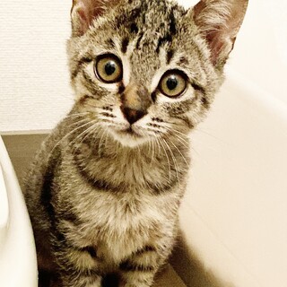 つぶらな瞳の癒やし系イケメン！2ヶ月半