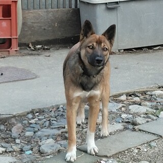 6.7ヶ月の男の子！