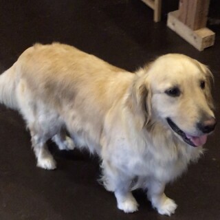 交渉中につき、募集中断します。