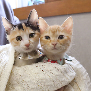 10月生まれの仲良し姉弟♪