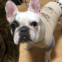 めい