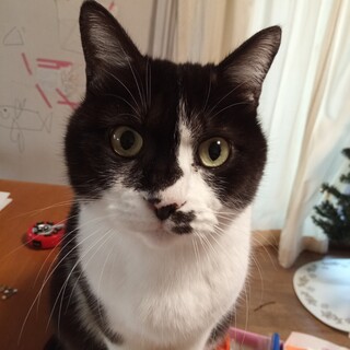 海外引越のため、急募です！