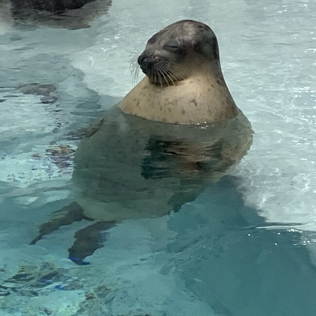 あみ24のカバー写真