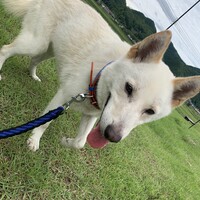 りっくん