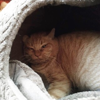 里親決定しました！心を閉ざしてしまった大ちゃん