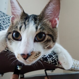 ※おうち決定※2021/4/3産まれの男の子