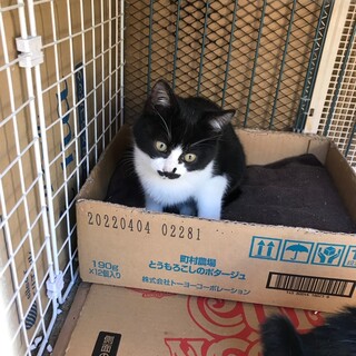 素敵な里親様と出会えました☆