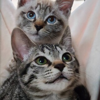 たくみん♡アマンダちゃん