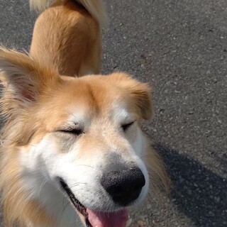 ご家族が決まりました！