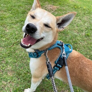 ご家族が決まりました！