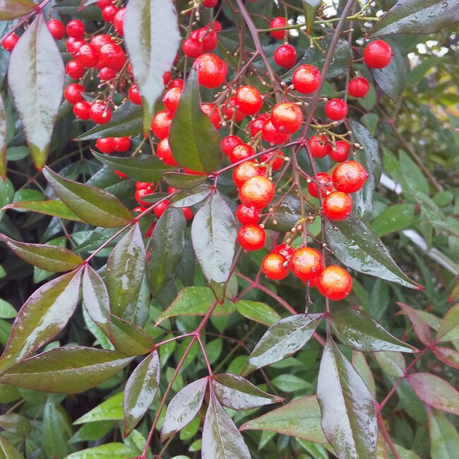 docLoveのカバー写真