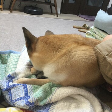 おうちがいちばん(´∀｀*)