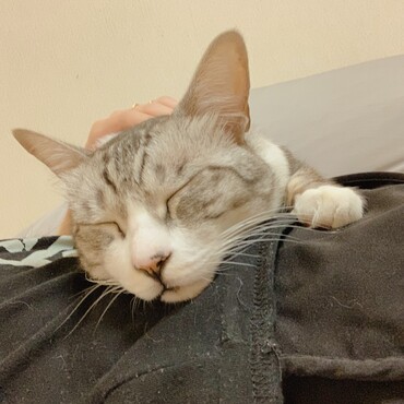 ねんね