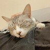 ねんね