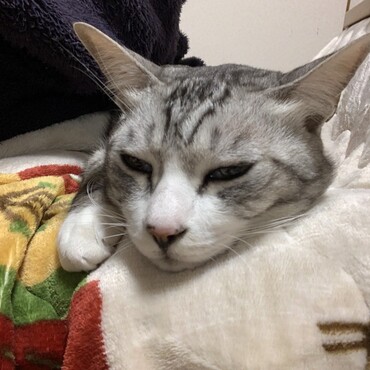 冬は寒いね