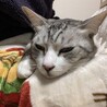 冬は寒いね