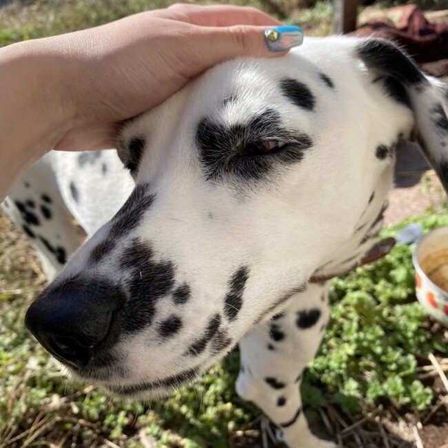りゅうき89のカバー写真
