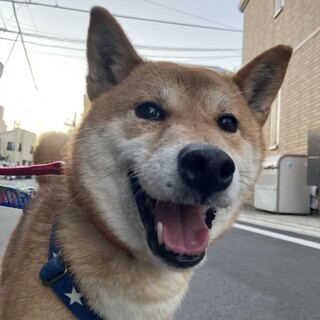 「かしこ」女の子