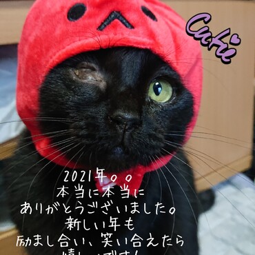 心から感謝を込めて。。