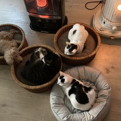 「Thank you 2021 おうちの皆様へ多謝」サムネイル1