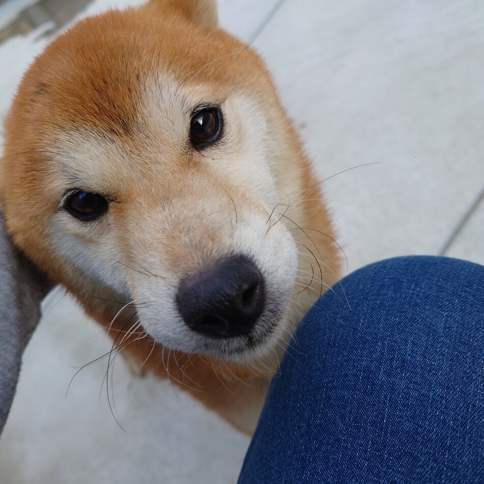 ゆきのカバー写真