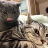 Okazu_