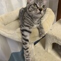 けんたくん　～兄弟で保護された男の子～