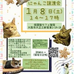 にゃんこ譲渡会