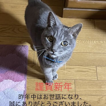 何だか本当に若返った∑(ﾟДﾟ)雷ジイの不老不死計画( ^ω^ )