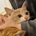 ほうじちゃ♡家族ができました