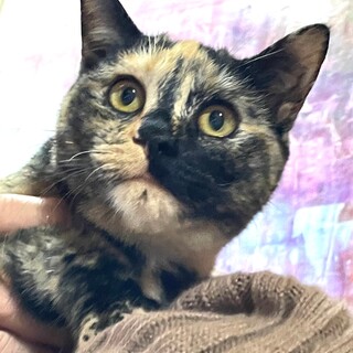 ありがとうございました！！