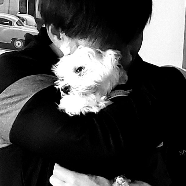 まえもんのカバー写真