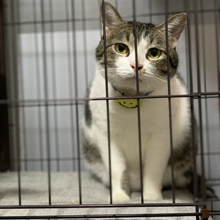 ずんぐりむっくりな咲太郎くん