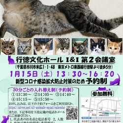 1/15（土）イコール保護猫譲渡会@行徳文化ホールI&I