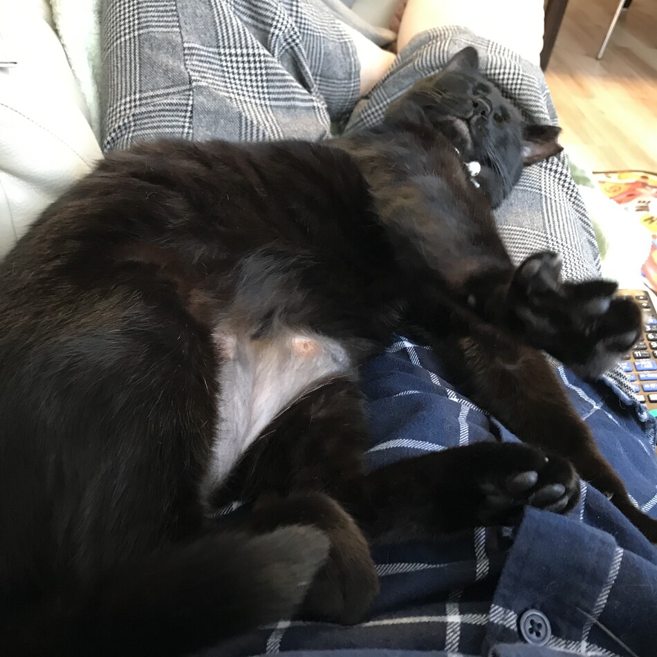 うみ（おーちゃん）のカバー写真