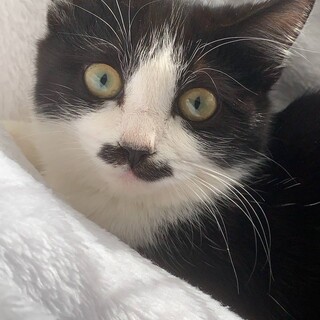 ゆりちゃん　メス　7ヵ月