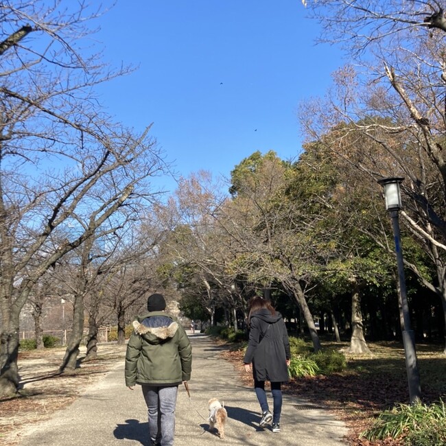 しーかうのカバー写真