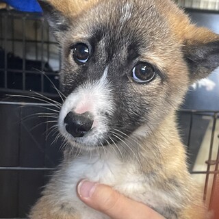 日進市福○様に決まりました