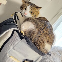 「そこ？！」サムネイル2