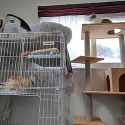 「そこ？！」サムネイル3