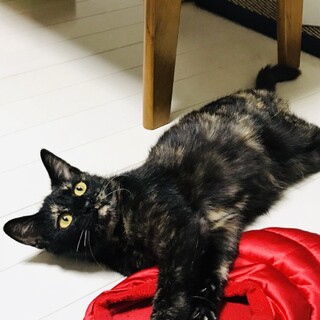 おっとり♡ほんわか優しい子です